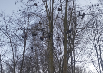 Фото Ровесник