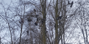 Фото Ровесник