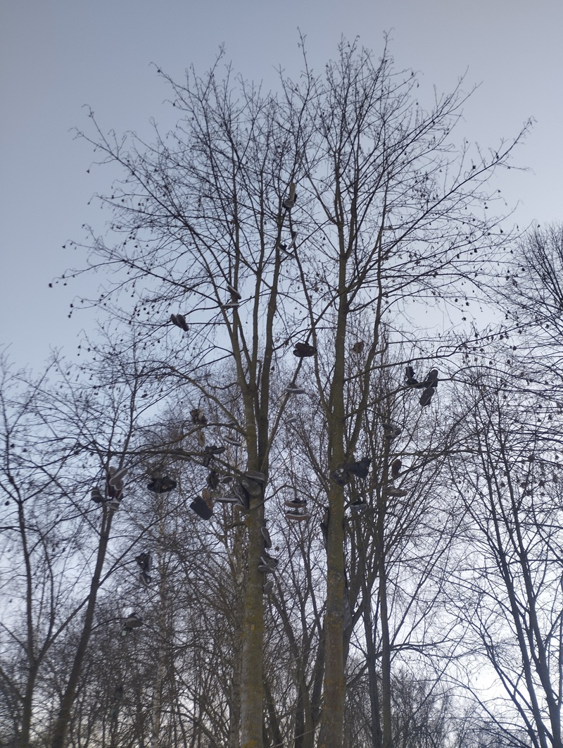 Фото Ровесник