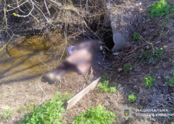 Трагедія у Гаях Гречинських