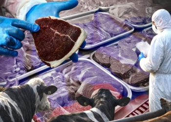 Епідемія як інструмент збагачення