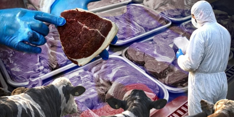 Епідемія як інструмент збагачення