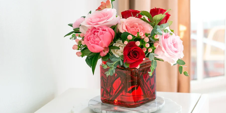 6a4bc3fd92bfe.webp