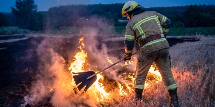 Спекотна доба на Тернопільщині: рятувальники ліквідували чотири пожежі