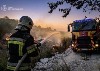 Понад 5 гектарів у вогні: за добу на Тернопільщині рятувальники гасили 7 пожеж у екосистемах