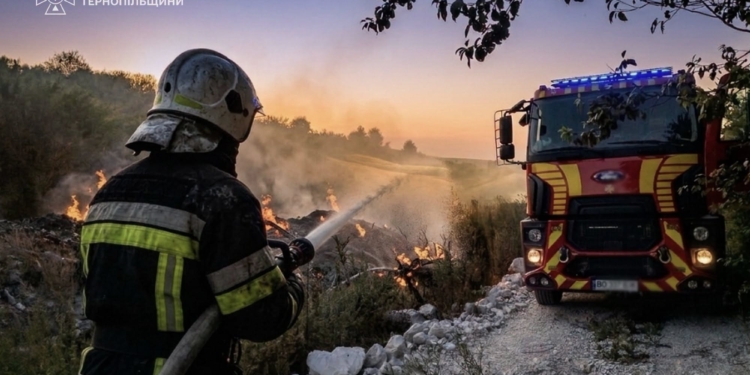 Понад 5 гектарів у вогні: за добу на Тернопільщині рятувальники гасили 7 пожеж у екосистемах